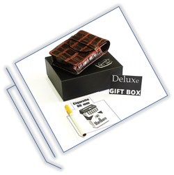 00273  704  Crocodile  Brown